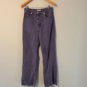 Zara Lavender Denim Pants